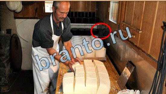 Где же кот игра ответы Уровень 5093