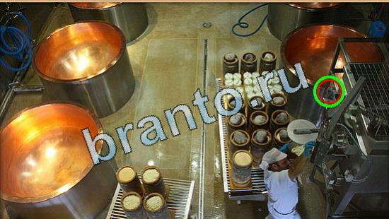 Где же кот ответы в картинках Уровень 5096