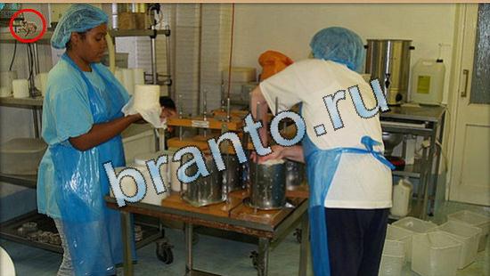 игра Где же кот помощь Уровень 5099