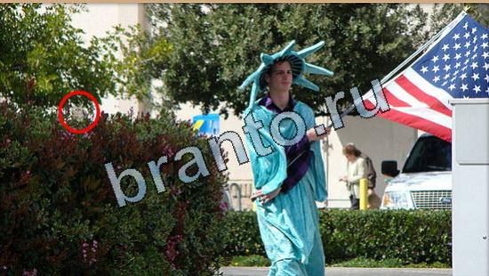 Прохождение игры Где же кот Уровень 5104