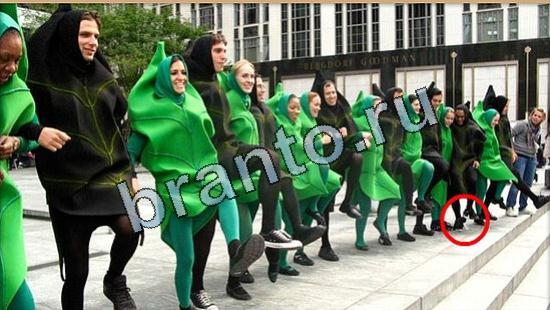 решения для игры Где же кот Уровень 5108