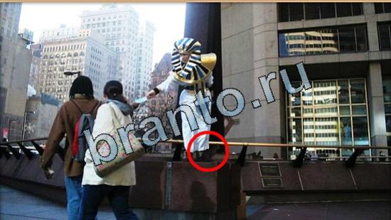 Где же кот помощь в картинках Уровень 5111