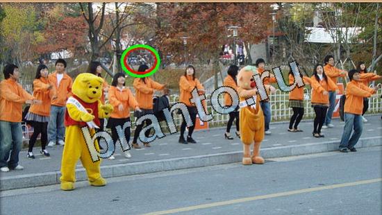 ответы на игру Где же кот Уровень 5114