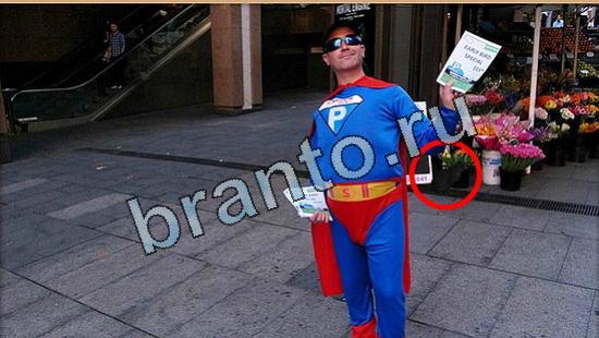 решения на игру Где же кот Уровень 5115