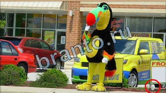 ответы в картинках на игру Где же кот Уровень 5117