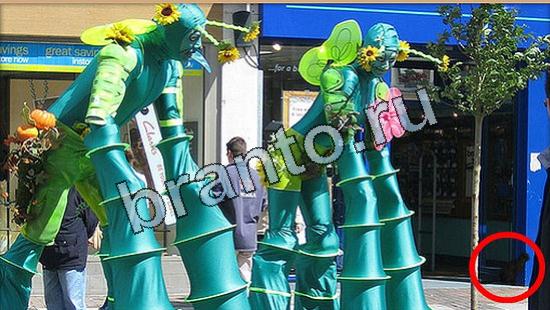 Где же кот ответы в одноклассниках Уровень 5119