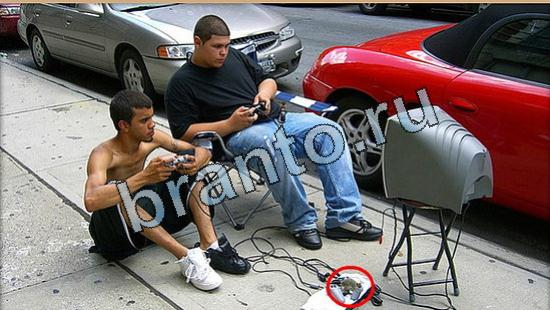 Где же кот? помощь Уровень 5170