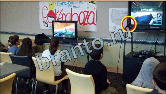 Где же кот? решения Уровень 5172