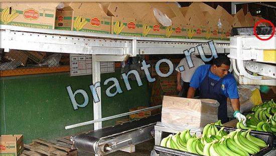 Где же кот прохождение игры Уровень 5182