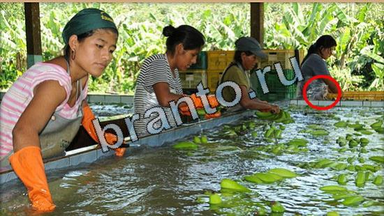 відповіді на игру Где же кот в одноклассниках Уровень 5183