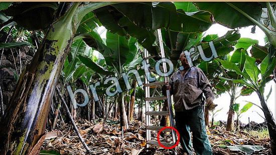 ответы Где же кот? в одноклассниках Уровень 5186