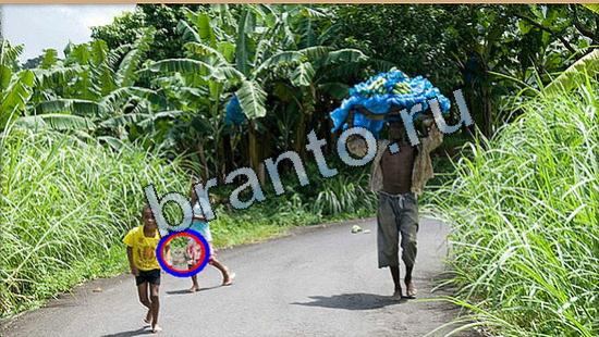 игра в одноклассниках Где же кот ответы Уровень 5190