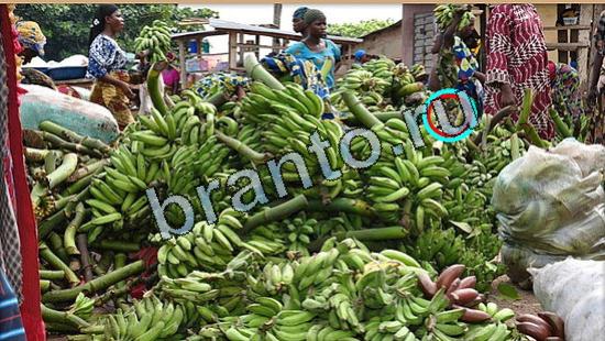 Где же кот помощь в картинках Уровень 5191