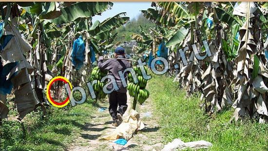 ответы в картинках на игру Где же кот Уровень 5197