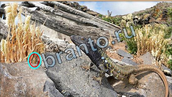 Где же кот? подсказки Уровень 5249