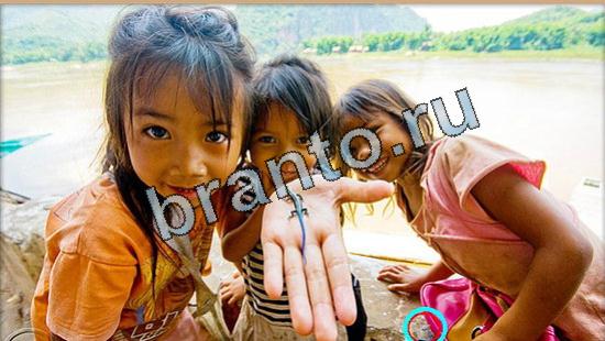 Где же кот? решения Уровень 5252