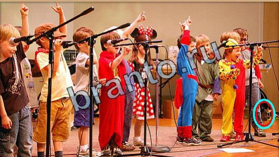 прохождение на игру Где же кот Уровень 5261