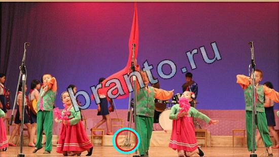 Где же кот прохождение игры Уровень 5262