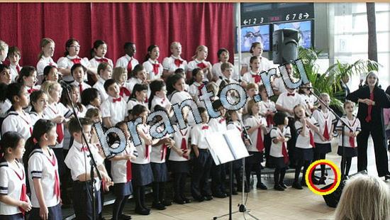 відповіді на игру Где же кот в одноклассниках Уровень 5263