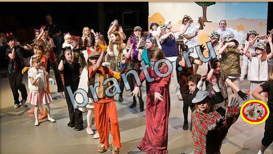 Прохождение игры Где же кот Уровень 5264