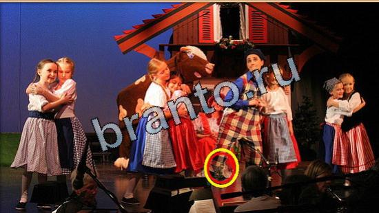 ответы Где же кот Уровень 5265