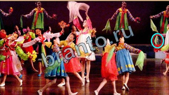 решения для игры Где же кот Уровень 5268