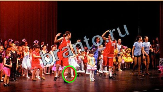 Где же кот ответы на новые задания Уровень 5273