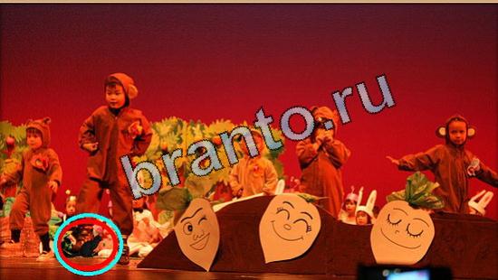 ответы на игру Где же кот Уровень 5274