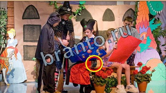 решения на игру Где же кот Уровень 5275