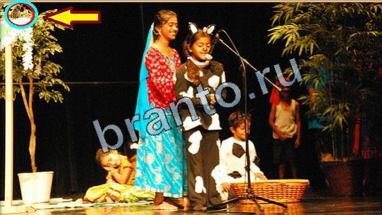 ответы в картинках на игру Где же кот Уровень 5277