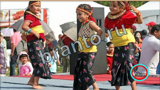 Где же кот игра ответы Уровень 5280