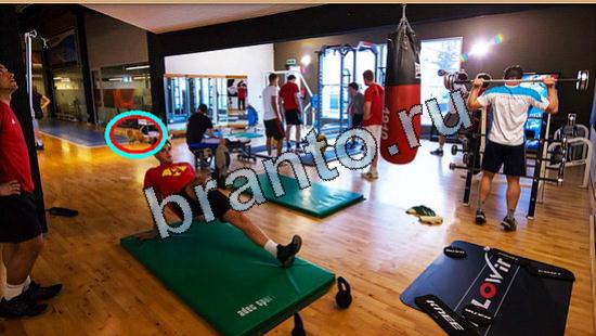 Помощь на игру Где же кот Уровень 5324