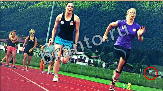 ответы к игре Где же кот Уровень 5325