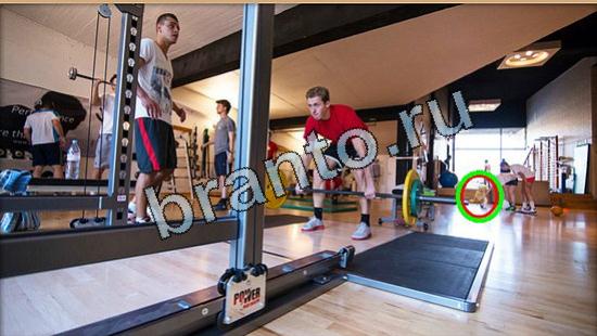 Где же кот? ответы Уровень 5328