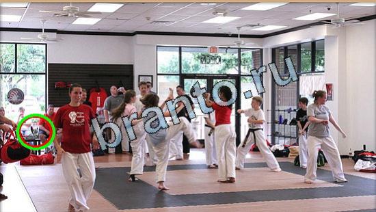 Где же кот? решения Уровень 5332