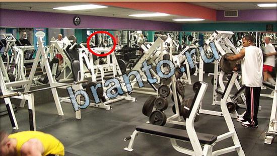 Где же кот игра ответы Уровень 5333