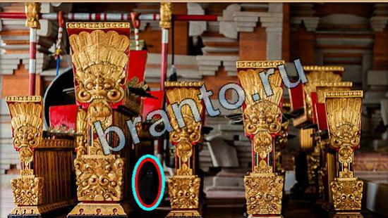 ответы Где же кот? в одноклассниках Уровень 5346