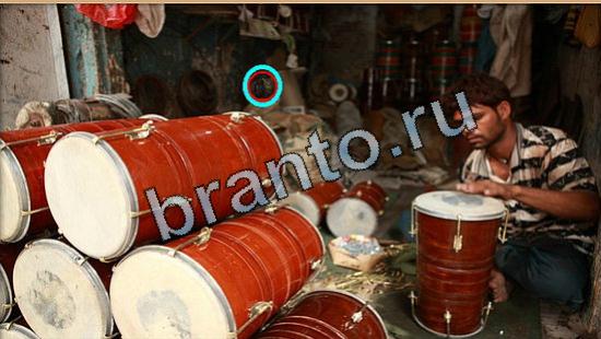 игра в одноклассниках Где же кот ответы Уровень 5350