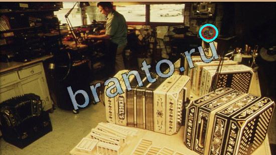 Где же кот ответы на новые задания Уровень 5353