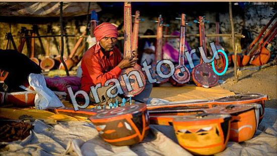 ответы на игру Где же кот Уровень 5354