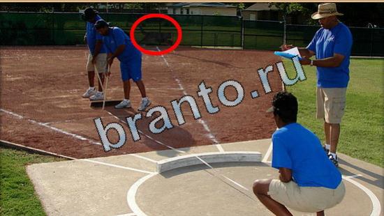 Подсказки на игру Где же кот Уровень 5402