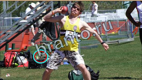 Решения на игру Где же кот Уровень 5403