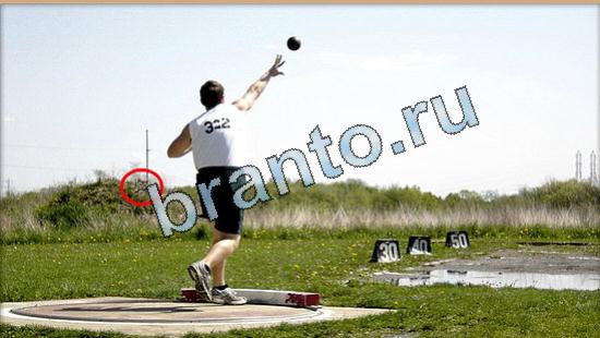 ответы к игре Где же кот Уровень 5405