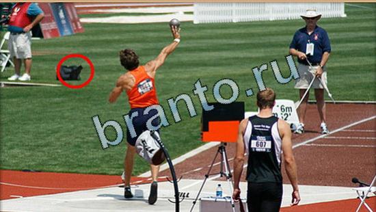 Где же кот? помощь Уровень 5410