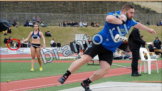 Где же кот? решения Уровень 5412