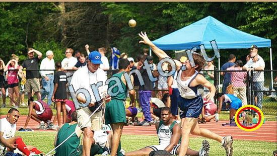 Где же кот игра ответы Уровень 5413