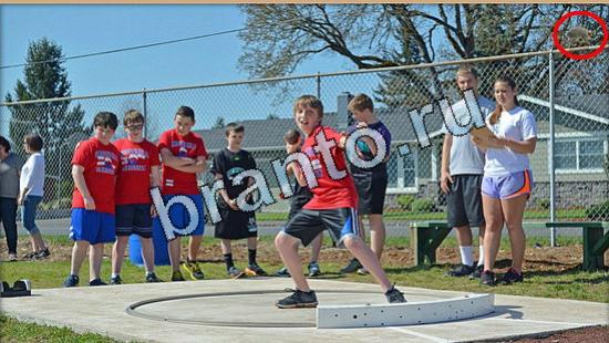 Где же кот игра помощь Уровень 5415