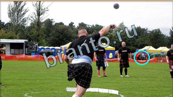 Игра Где же кот ответы Уровень 5417