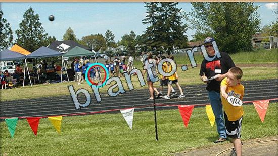 игра Где же кот помощь Уровень 5419