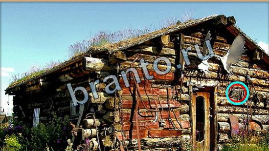 прохождение на игру Где же кот Уровень 5421